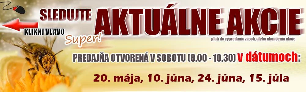 Aktualne Akcie