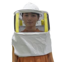 V�el�rsky z�voj dlh� hranat�, BEE 1