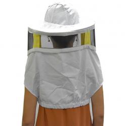 V�el�rsky z�voj dlh� hranat�, BEE 2