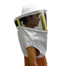 V�el�rsky z�voj dlh� hranat�, BEE