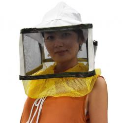 V�el�rsky z�voj kr�tky hranat�, BEE