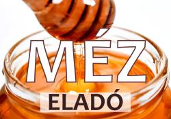 Tabule na predaj medu maďarské, veľkosť M - vzor TA12