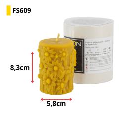 FS609-2 FS609-2