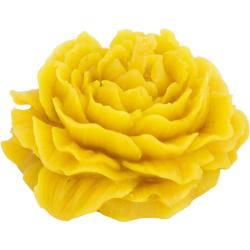FS611-1 FS611-1