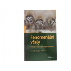 Fenomenln vely