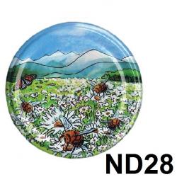 ND28.jpg